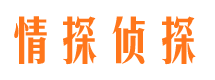 洪江市私家调查